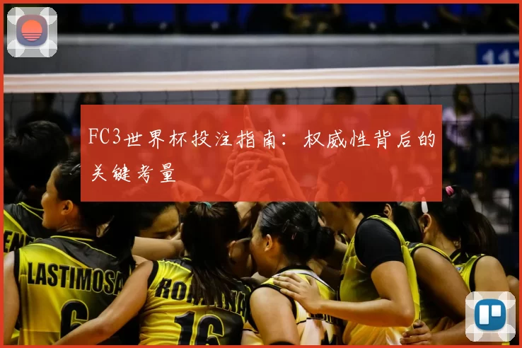 FC3世界杯投注指南:权威性背后的关键考量