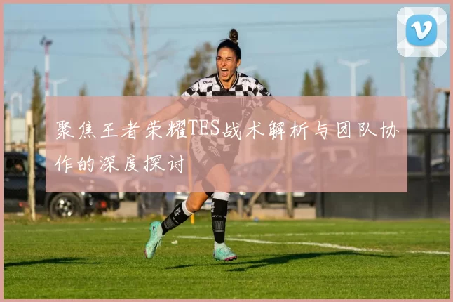 聚焦王者荣耀TES战术解析与团队协作的深度探讨
