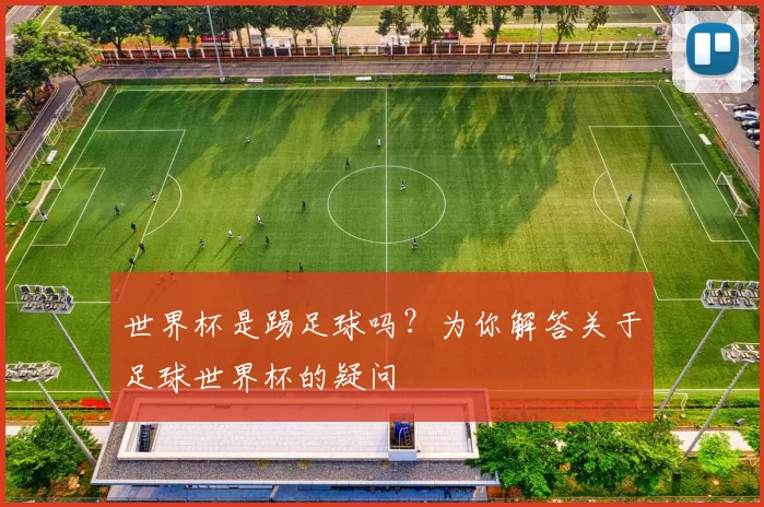 世界杯是踢足球吗?为你解答关于足球世界杯的疑问