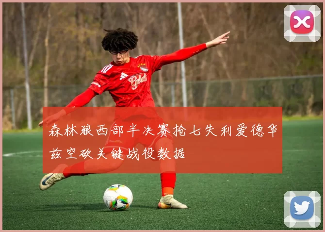 森林狼西部半决赛抢七失利爱德华兹空砍关键战役数据