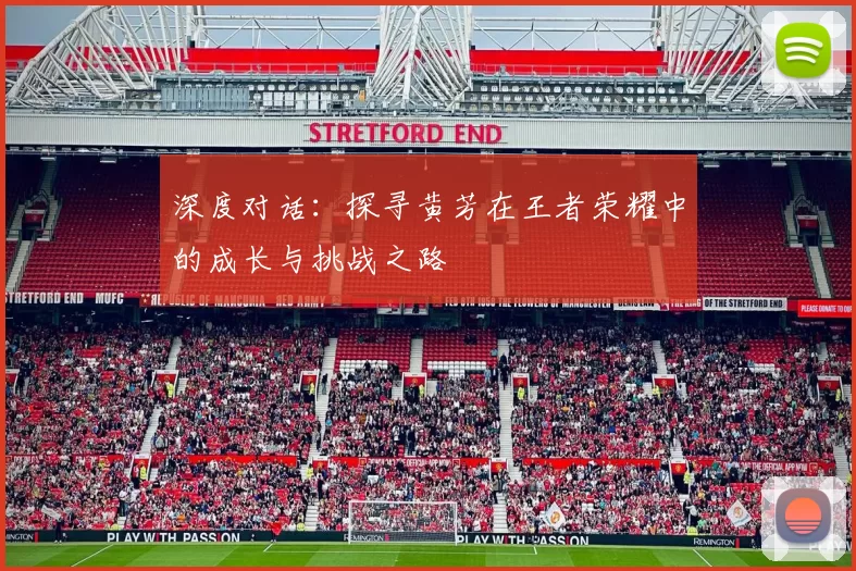 深度对话:探寻黄芳在王者荣耀中的成长与挑战之路