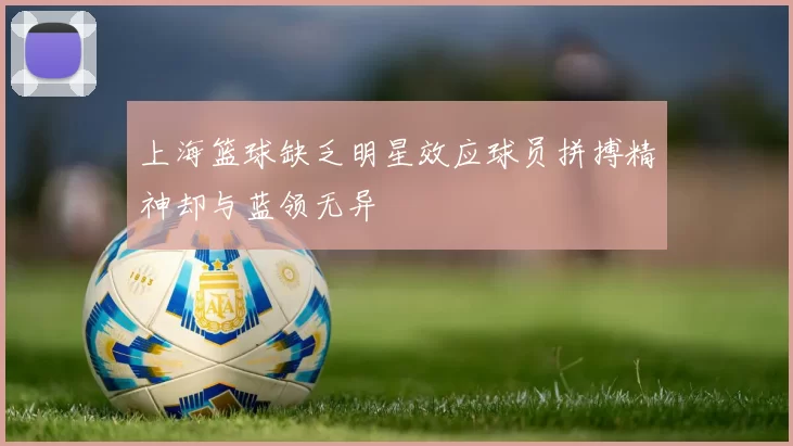 上海篮球缺乏明星效应球员拼搏精神却与蓝领无异