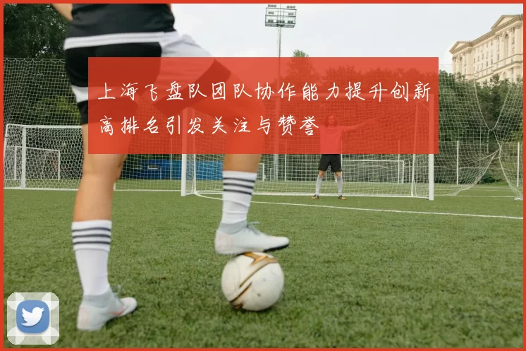 上海飞盘队团队协作能力提升创新高排名引发关注与赞誉
