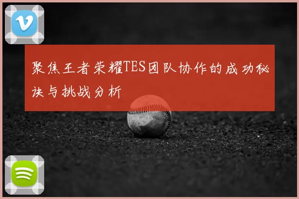 聚焦王者荣耀TES团队协作的成功秘诀与挑战分析
