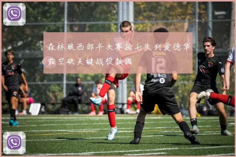 森林狼西部半决赛抢七失利爱德华兹空砍关键战役数据