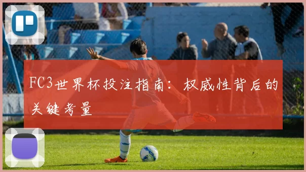 FC3世界杯投注指南：权威性背后的关键考量