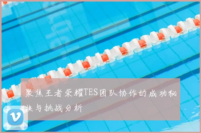 聚焦王者荣耀TES团队协作的成功秘诀与挑战分析