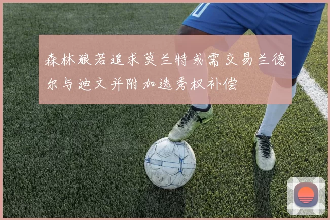 森林狼若追求莫兰特或需交易兰德尔与迪文并附加选秀权补偿
