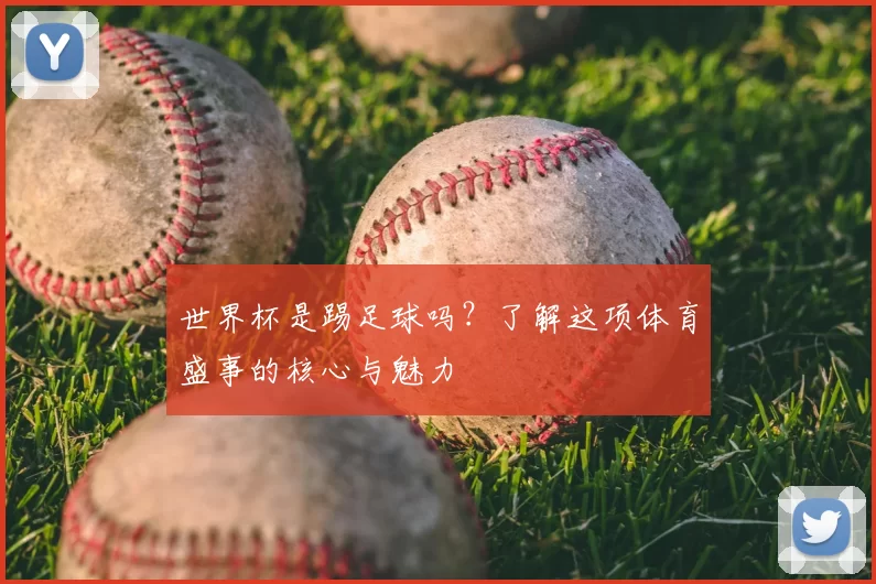 世界杯是踢足球吗?了解这项体育盛事的核心与魅力