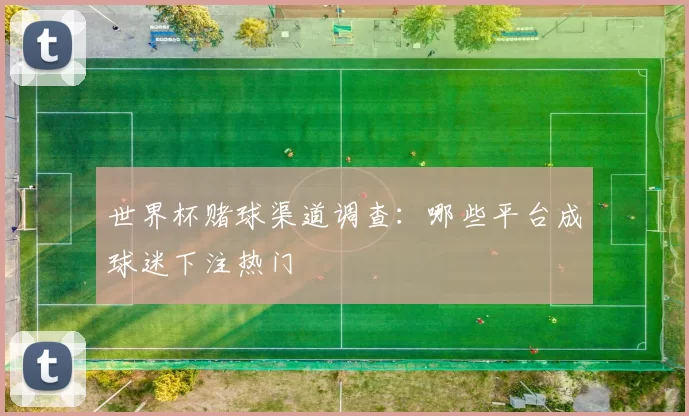 世界杯赌球渠道调查:哪些平台成球迷下注热门