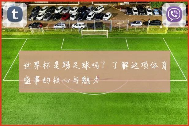 世界杯是踢足球吗?了解这项体育盛事的核心与魅力