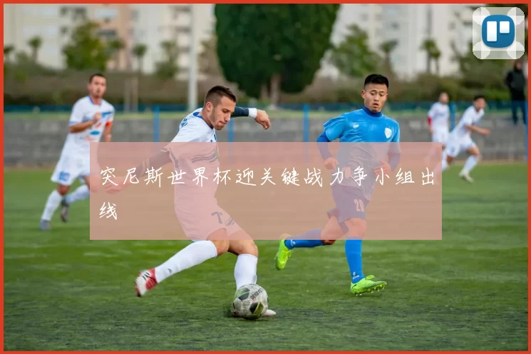 突尼斯世界杯迎关键战力争小组出线