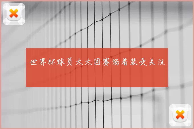 世界杯球员太太团赛场着装受关注